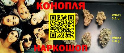 apvp Коммунар