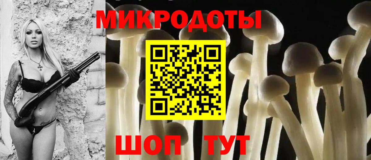 Псилоцибиновые грибы GOLDEN TEACHER  купить   Зеленогорск  Вход с VPN  Псилоцибиновые грибы GOLDEN TEACHER 